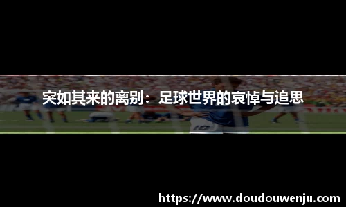 熊猫体育